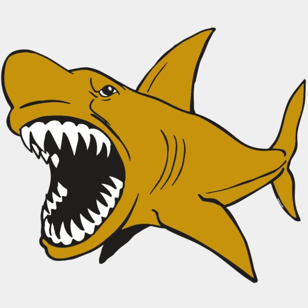 AR  SHARK 21 RC Thumbnail