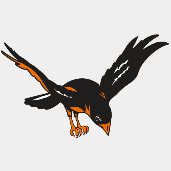 AR ORIOLE 16 RC Thumbnail