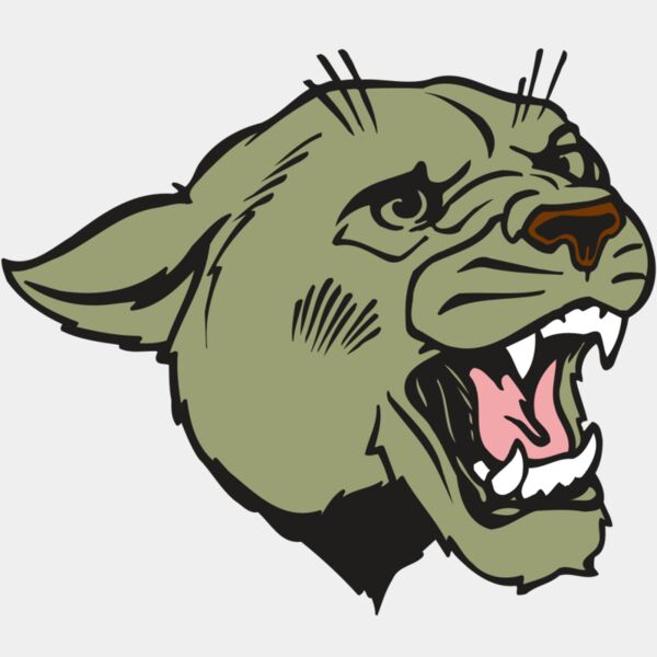 AR COUGAR 40 RC Thumbnail